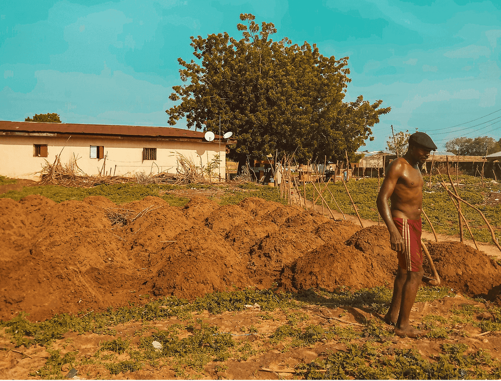 Subsistence farm in Nigeria.